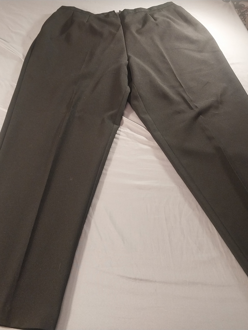 Perceptions Women Dress Pants 18W #437